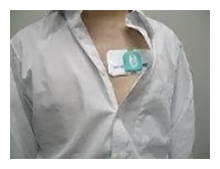 自律神経メンタル評価システム