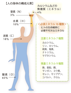 オリゴスキャン